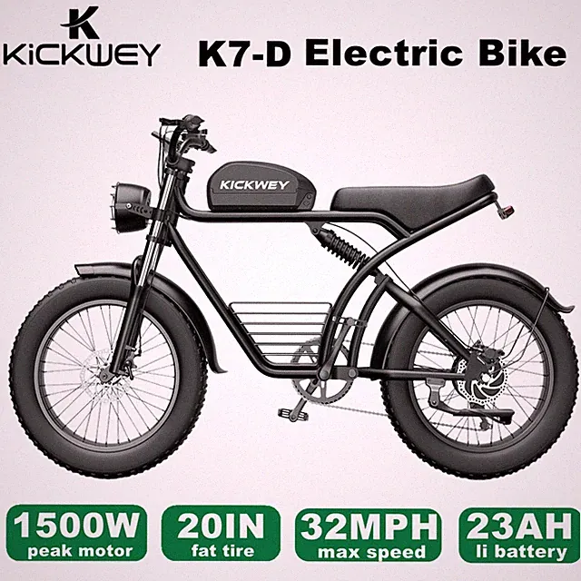 1500/3000W 48V 23Ah 20'' Fat Tire Electric Bike eMountain Commuter MTB Bike