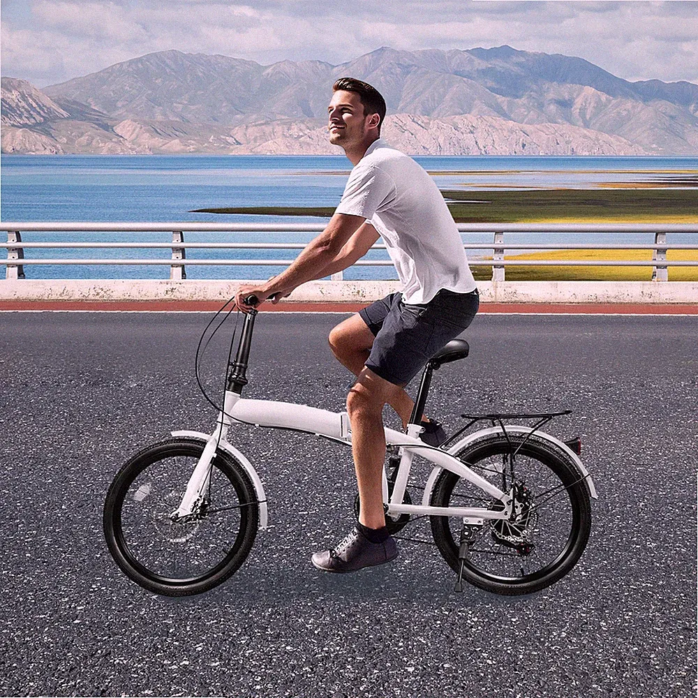 20inch Adjustable Height High Carbon Steel Folding Bike With 7-gear Transmission