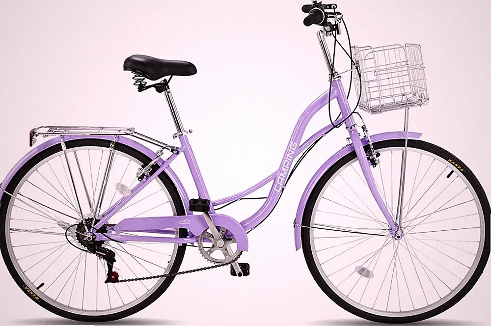 Carbon Steel Comfort Bike