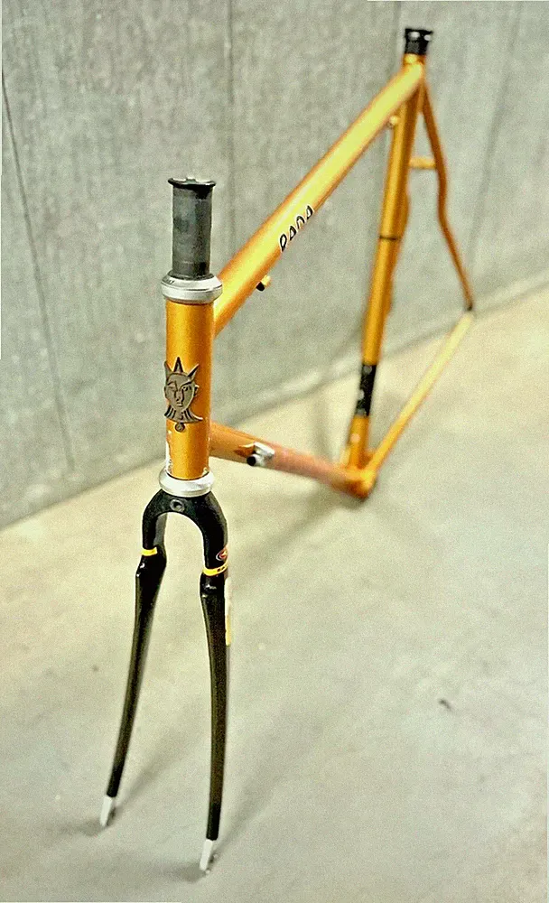 Voodoo Rada Road Bike / Touring Steel Frame / Easton EC70 Full Carbon Fork